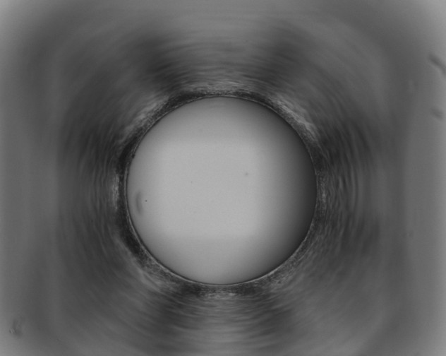 X0000092000206200709061247