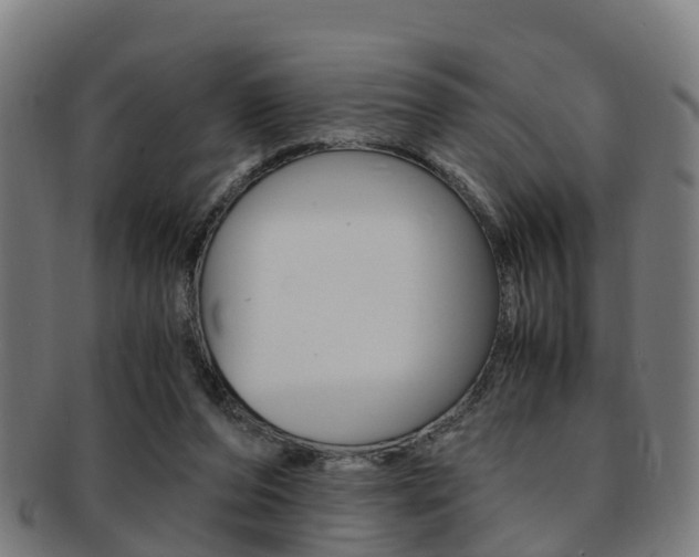 X0000092000208200709061247