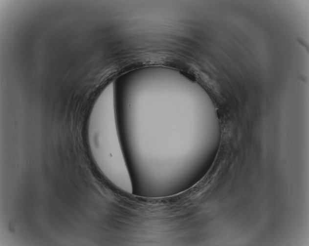 X0000092000209200709061247