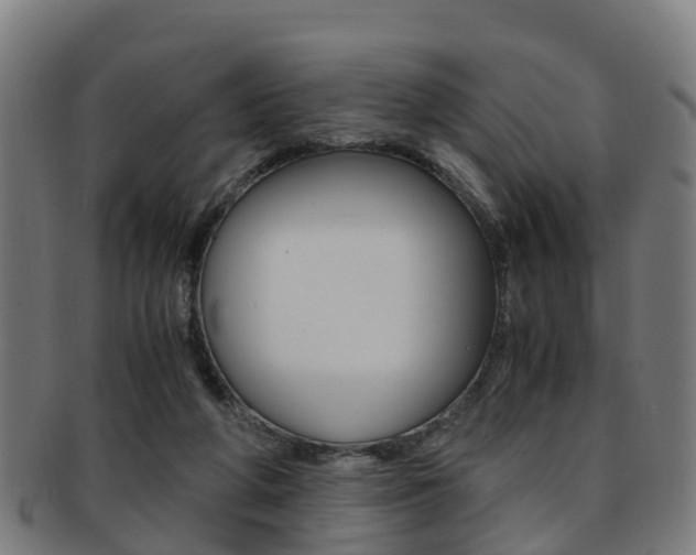 X0000092000210200709061247