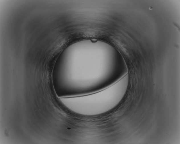X0000092000211200709061247