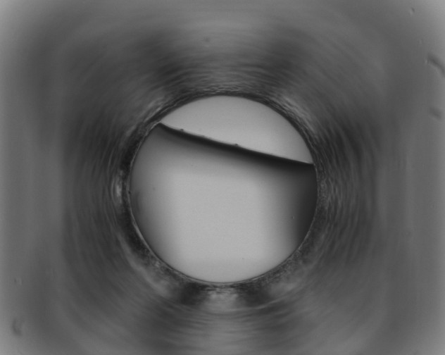 X0000092000214200709061247