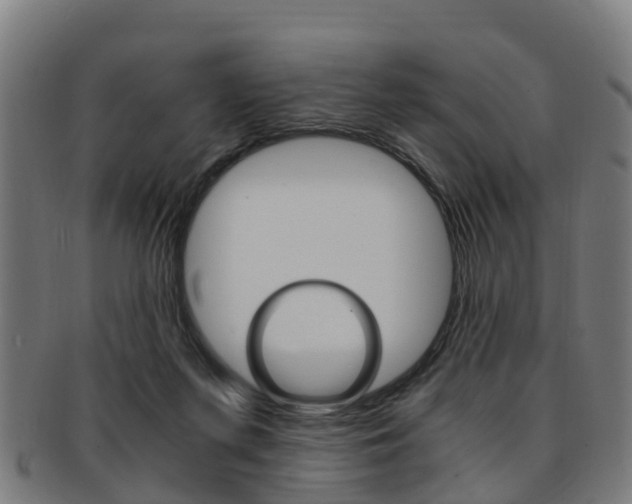 X0000092000215200709061247