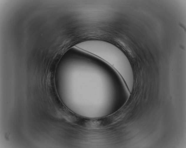 X0000092000217200709061247