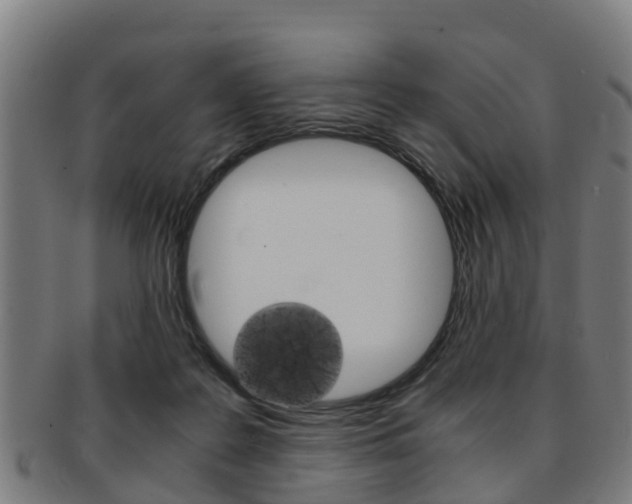 X0000092000219200709061246
