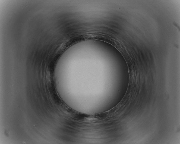 X0000092000220200709061246