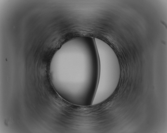 X0000092000221200709061246