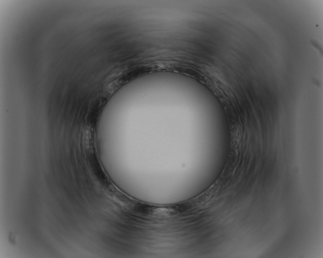 X0000092000222200709061246