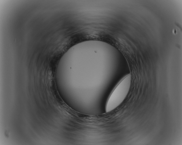 X0000092000223200709061246