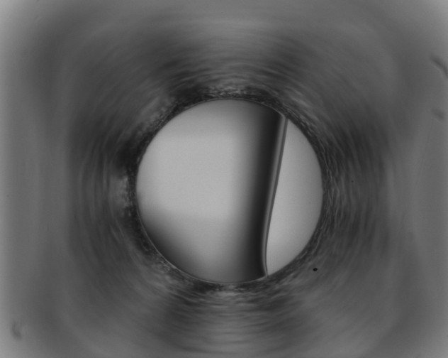 X0000092000224200709061246