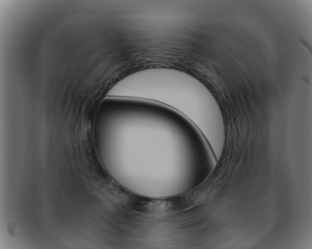 X0000092000225200709061246
