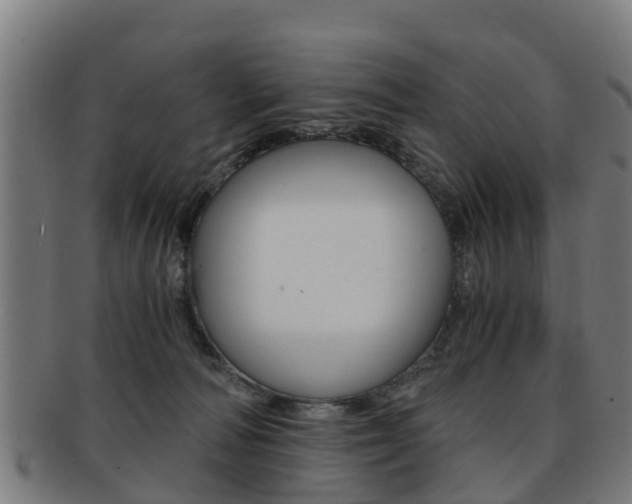 X0000092000226200709061246