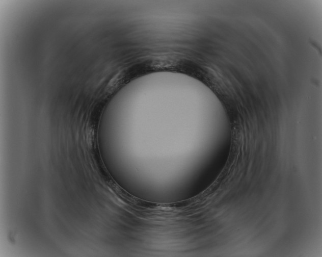 X0000092000227200709061246