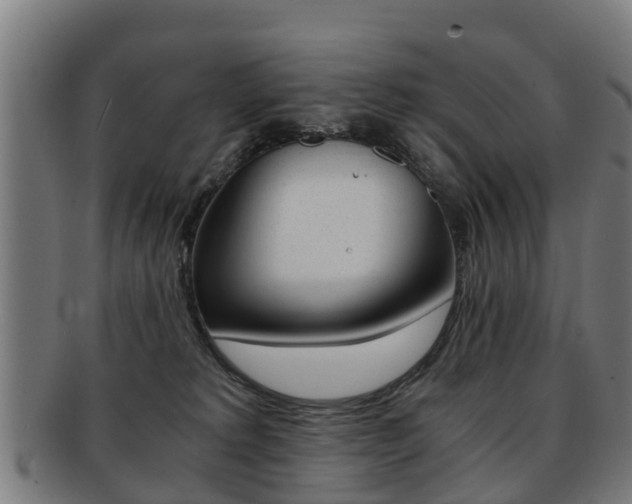 X0000092000229200709061246