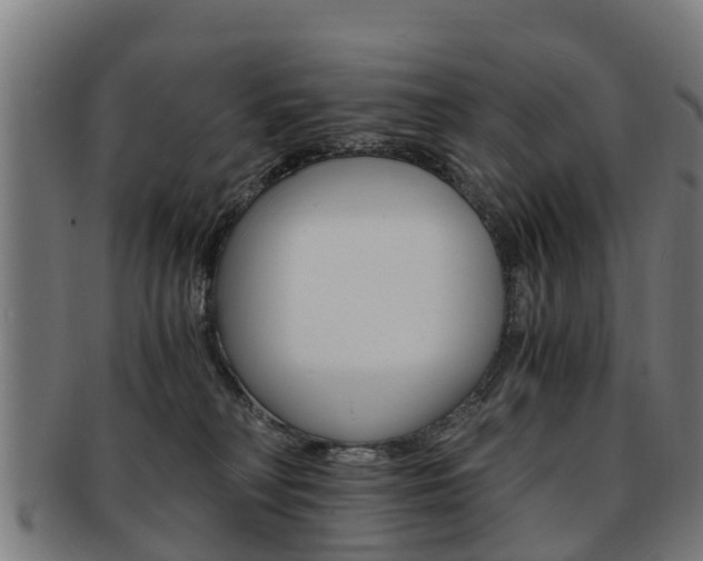 X0000092000230200709061246