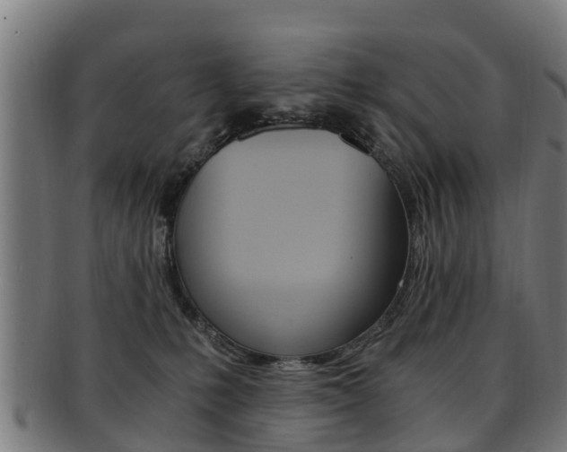 X0000092000231200709061246