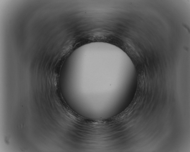 X0000092000232200709061246