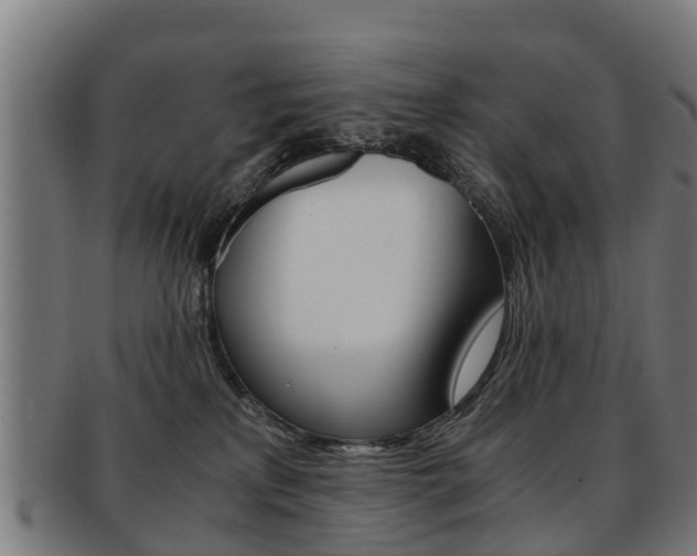 X0000092000233200709061246