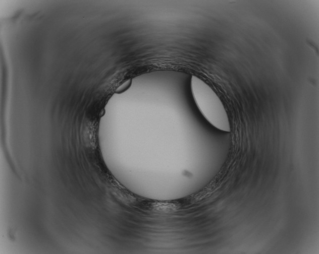 X0000092000234200709061246