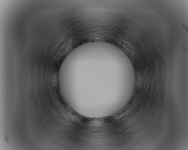 X0000092000236200709061246