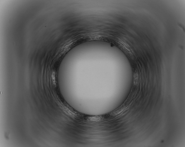 X0000092000238200709061246