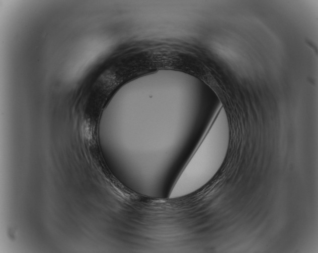 X0000092000239200709061246