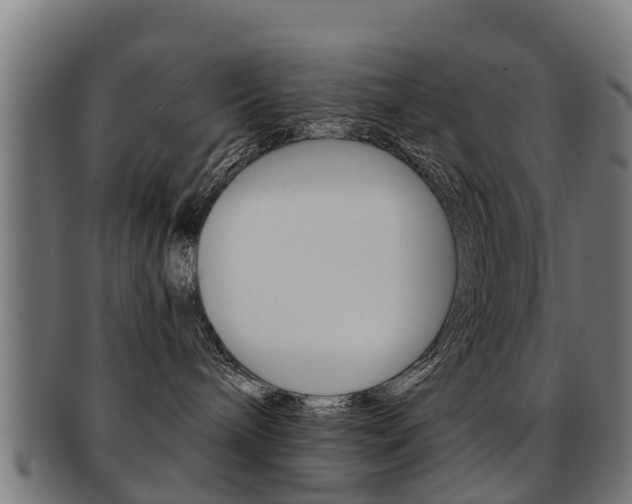 X0000092000240200709061246