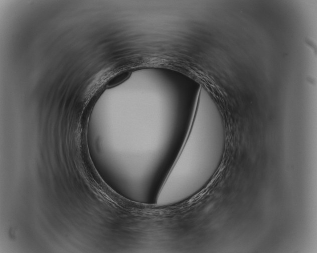 X0000092000242200709061246