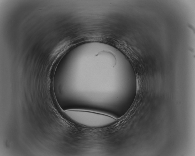 X0000092000243200709061246