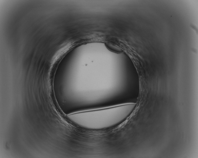 X0000092000245200709061246