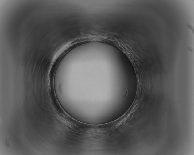 X0000092000246200709061246