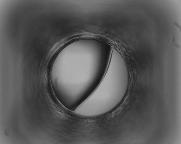 X0000092000247200709061246