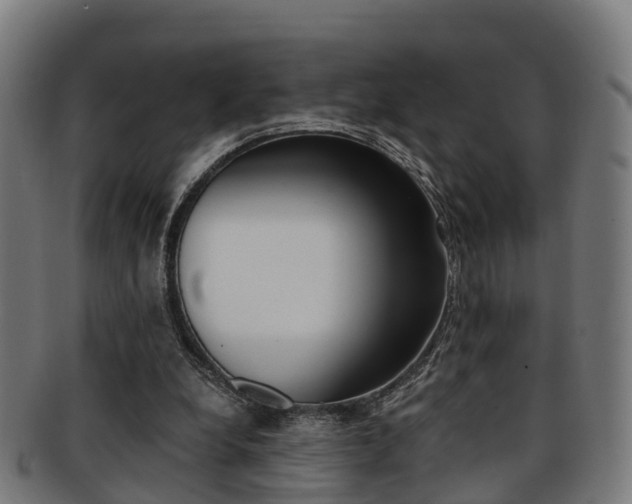 X0000092000248200709061246