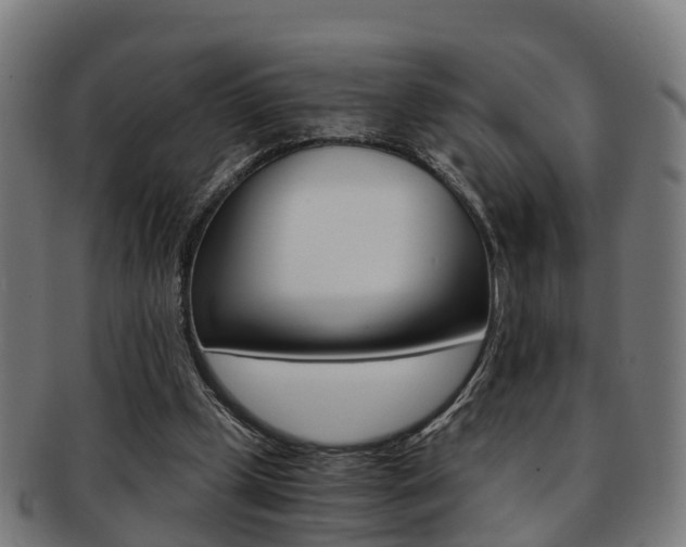 X0000092000249200709061246