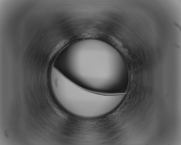 X0000092000250200709061246