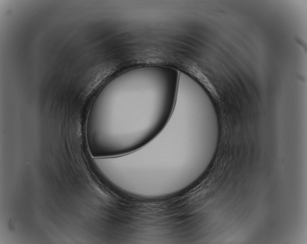 X0000092000251200709061246
