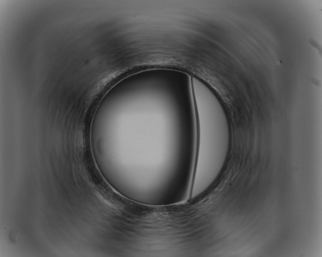 X0000092000252200709061246