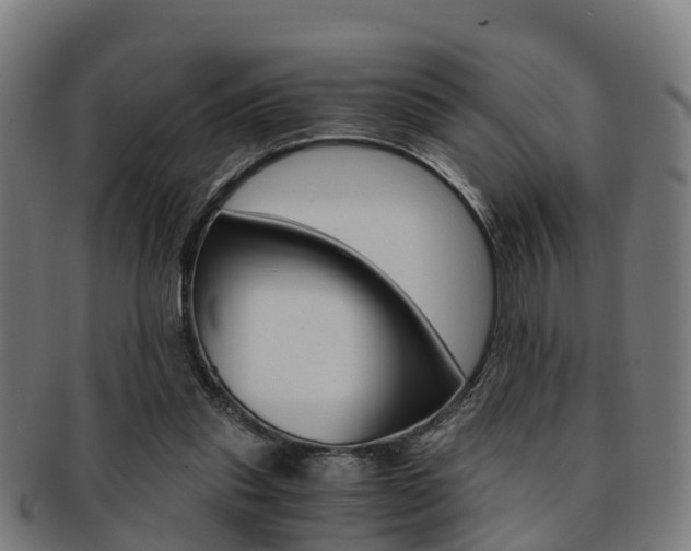X0000092000253200709061246