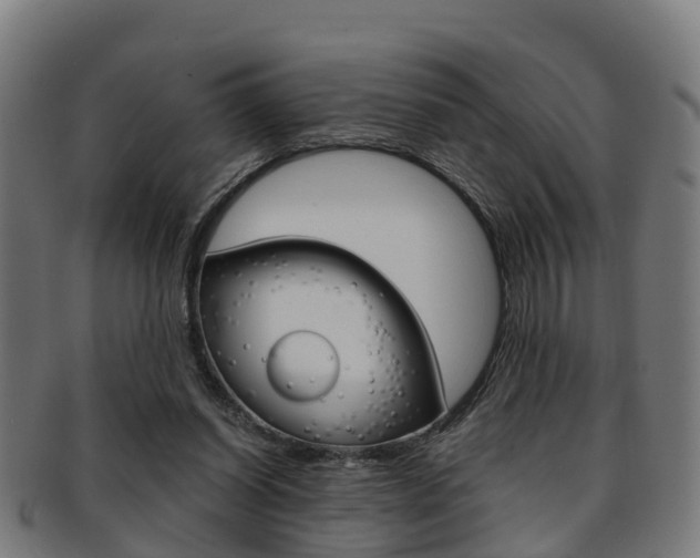 X0000092000254200709061246