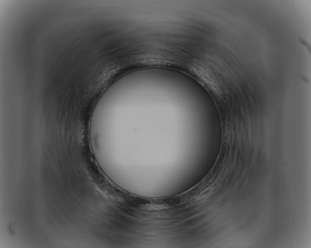 X0000092000255200709061246