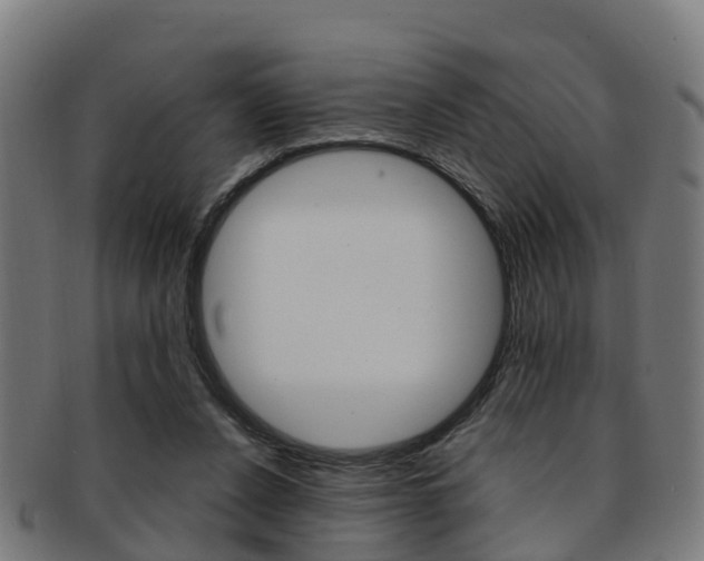 X0000092000256200709061246