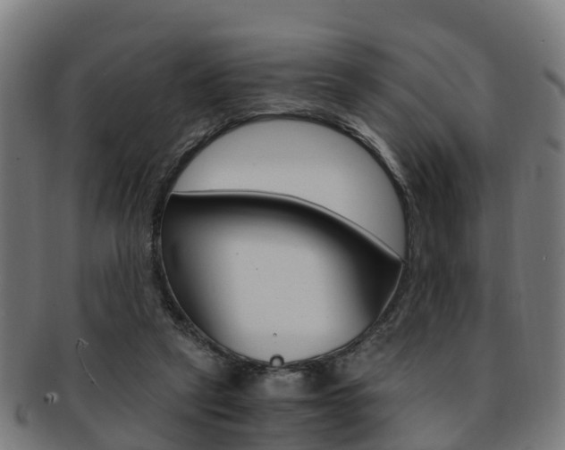 X0000092000257200709061246