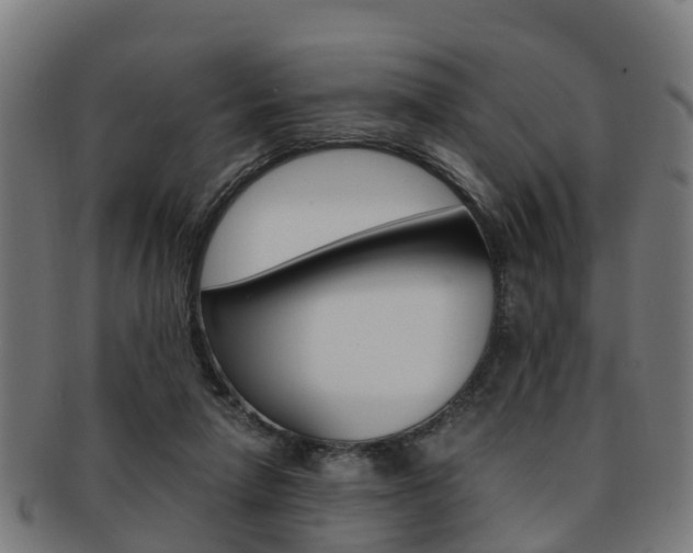 X0000092000258200709061246