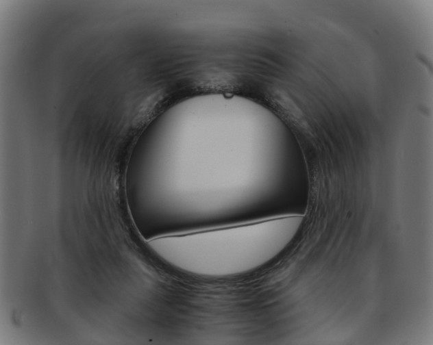 X0000092000259200709061246
