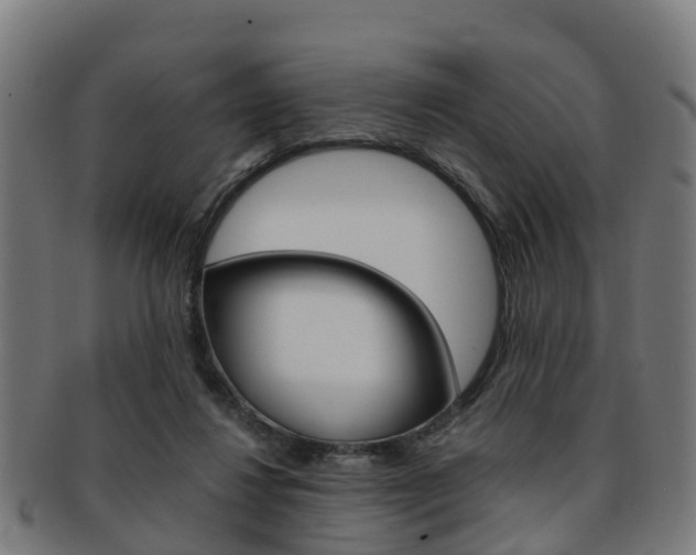 X0000092000260200709061246