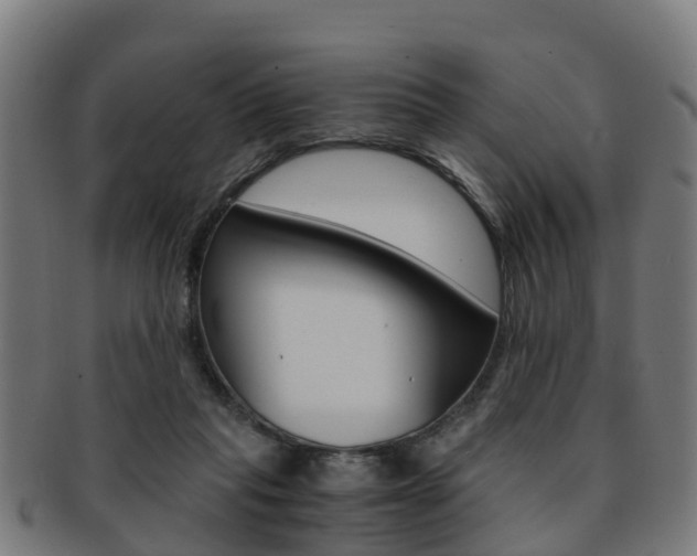 X0000092000261200709061246