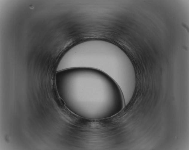 X0000092000264200709061246
