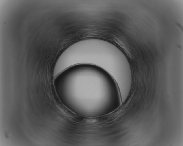 X0000092000265200709061246