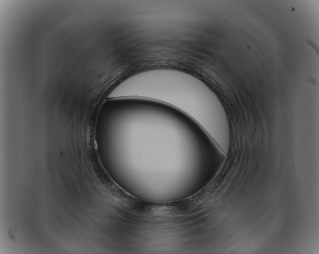 X0000092000268200709061246