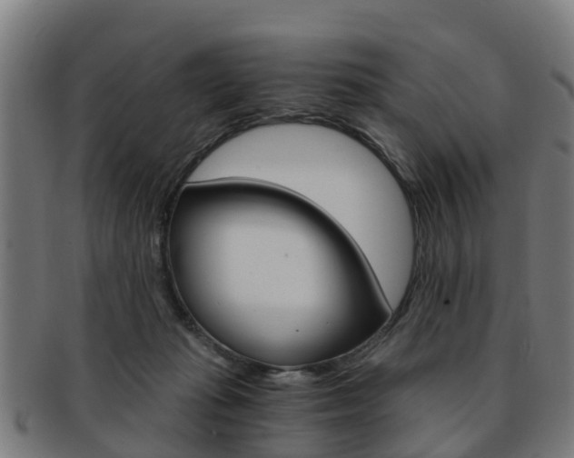 X0000092000269200709061246